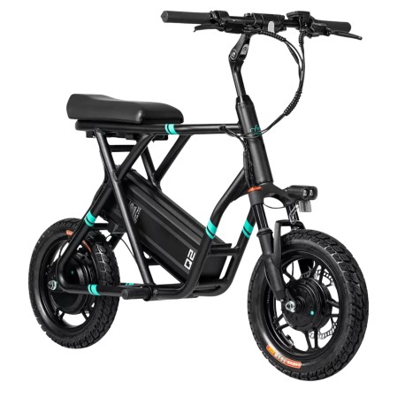 FIIDO Q2 electric bike (14")